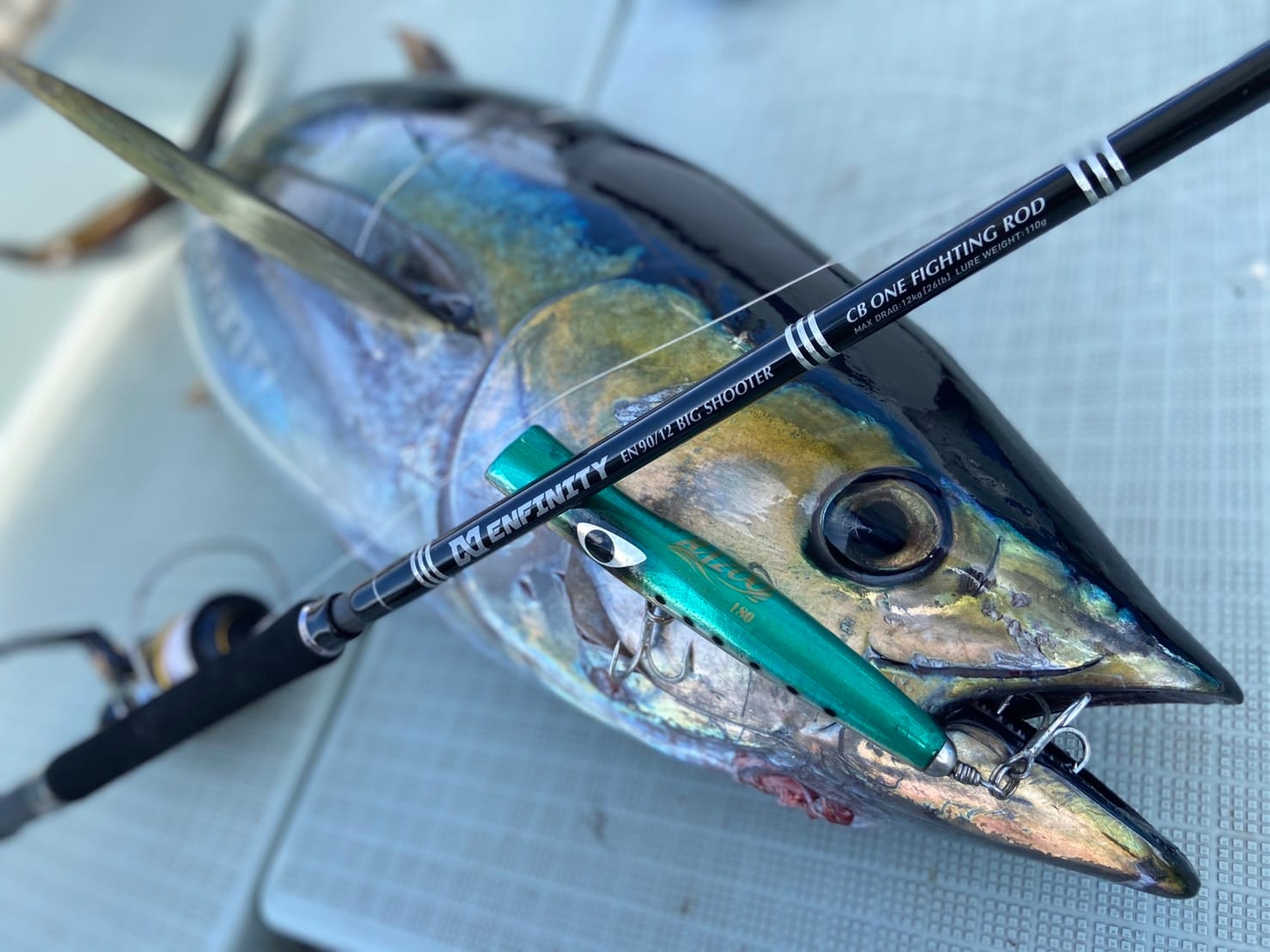 CB ONE ENFINITY EN90/12 BIG SHOOTER CASTING ROD