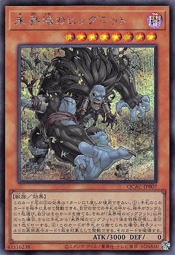 最安値】psa10 孫悟空 シリアルナンバー No.3240 DBFW】シリアル