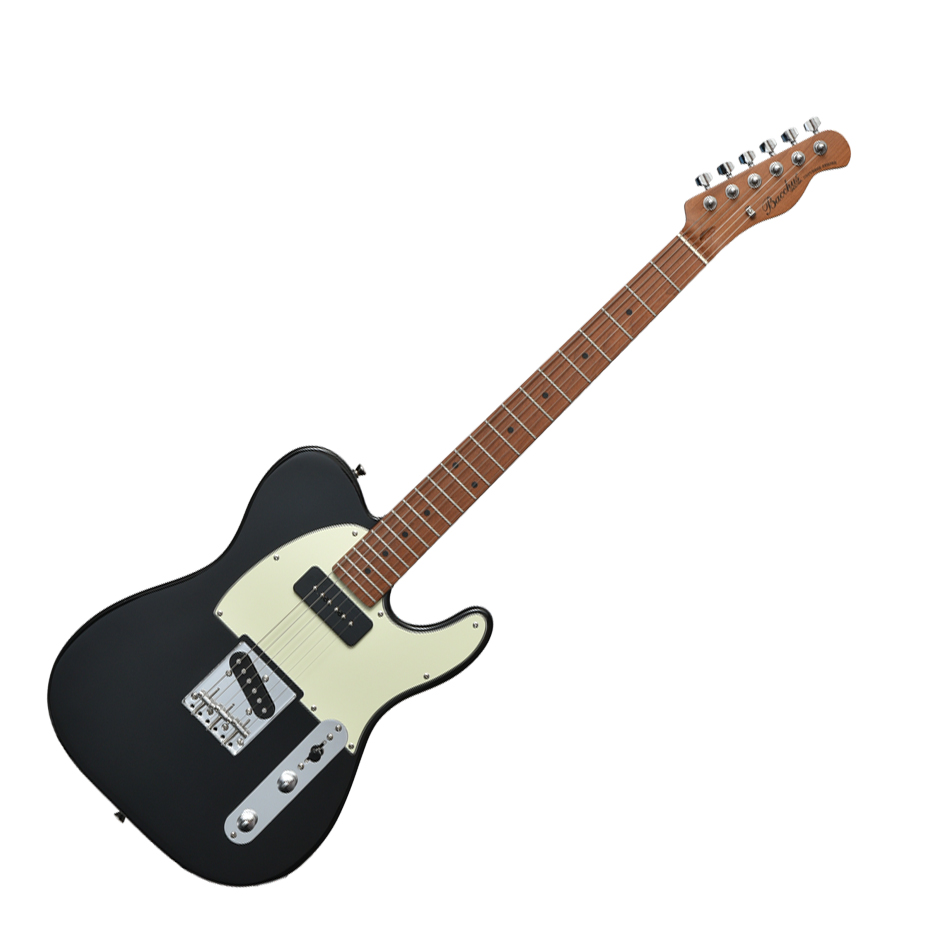 Bacchus（バッカス） バッカス / BTE-2-RSM/M おまけ付き テレキャス