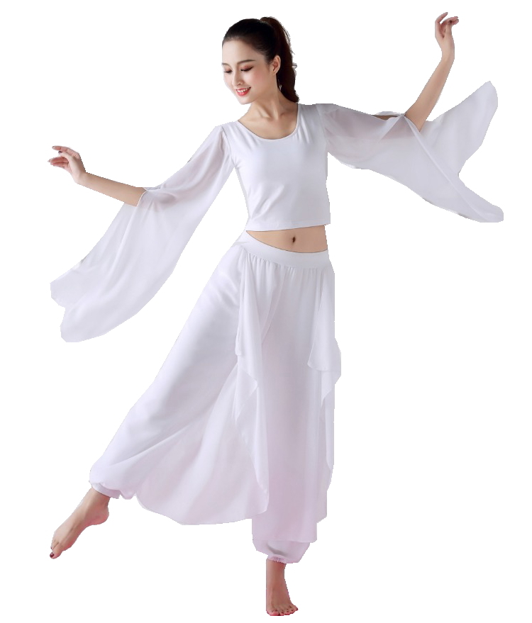 hoydaベリーダンスセットアップ ホワイト ベリーダンス セットアップ