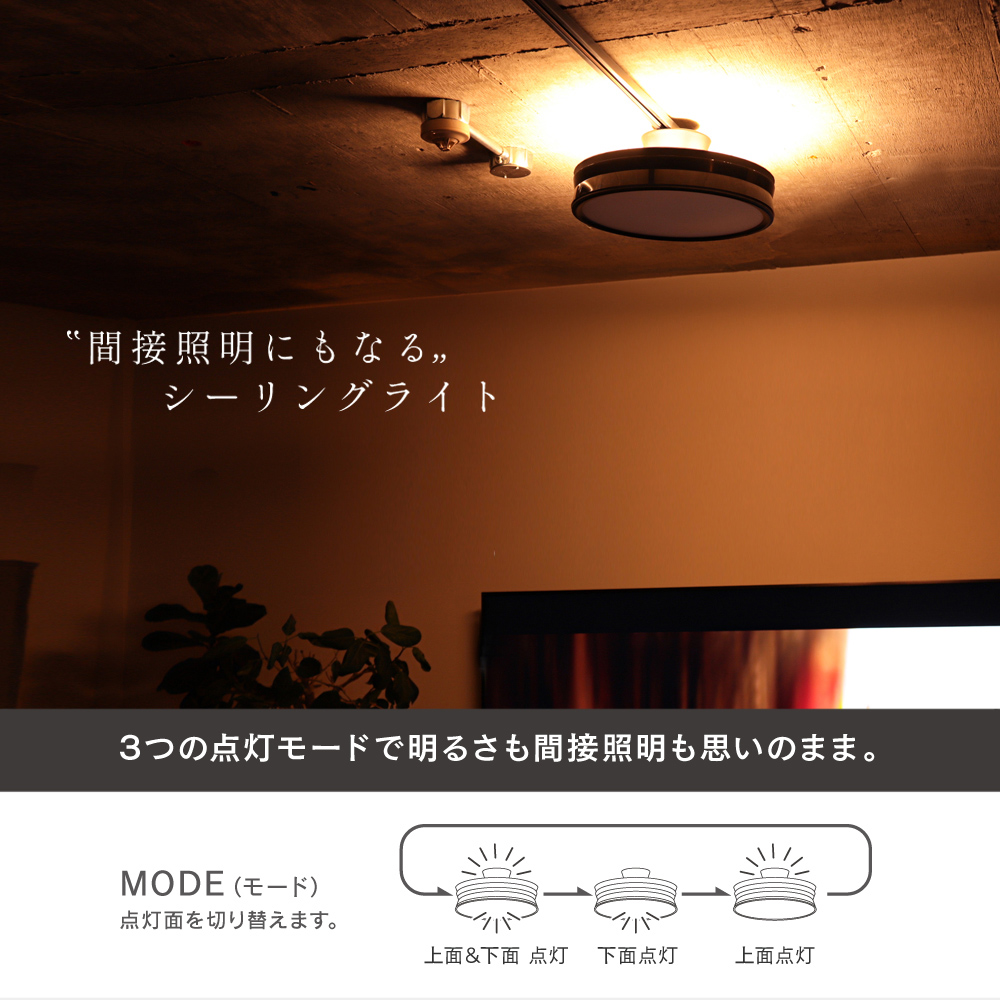 Edison Smart（エジソンスマート） LED デュアルシーリングライト 12畳