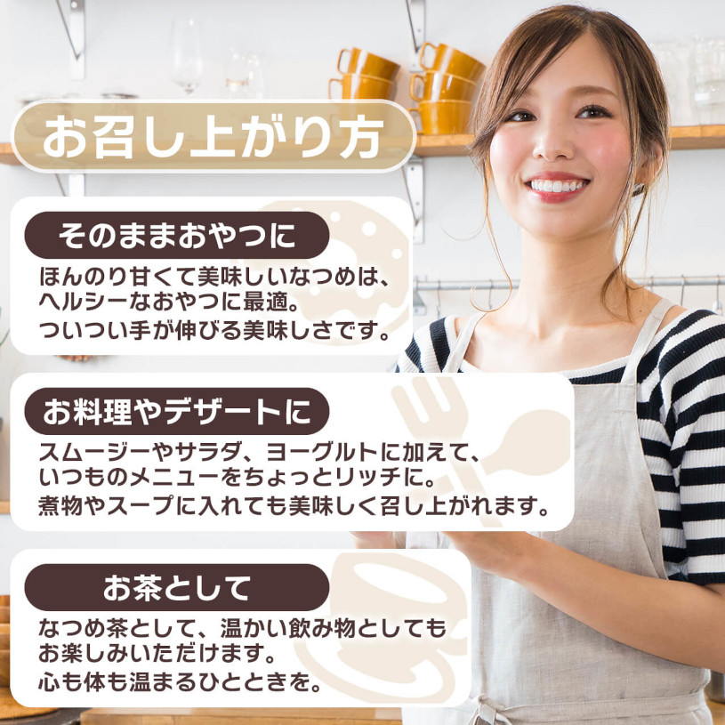 NICHIGA（ニチガ） なつめチップス 700g 栽培期間中農薬不使用