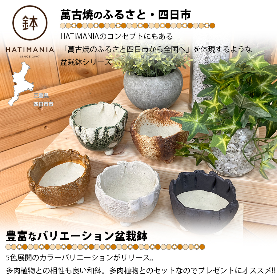 多肉植物おまかせ寄せ植え HATIMANIA 2.5号丸型 2033 盆栽鉢 鉢づくし