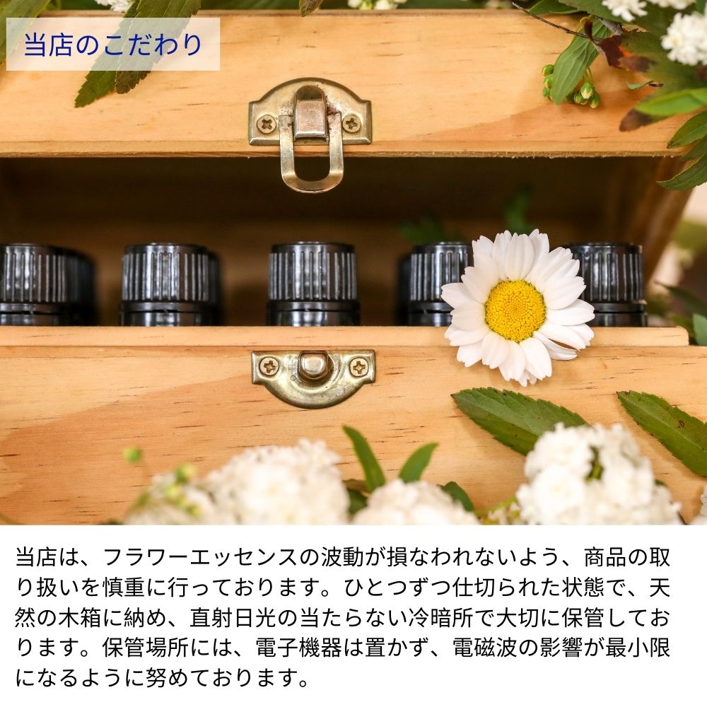 専用】サネン『隠れた本質を引き出す』フラワーエッセンスのシャンドゥ