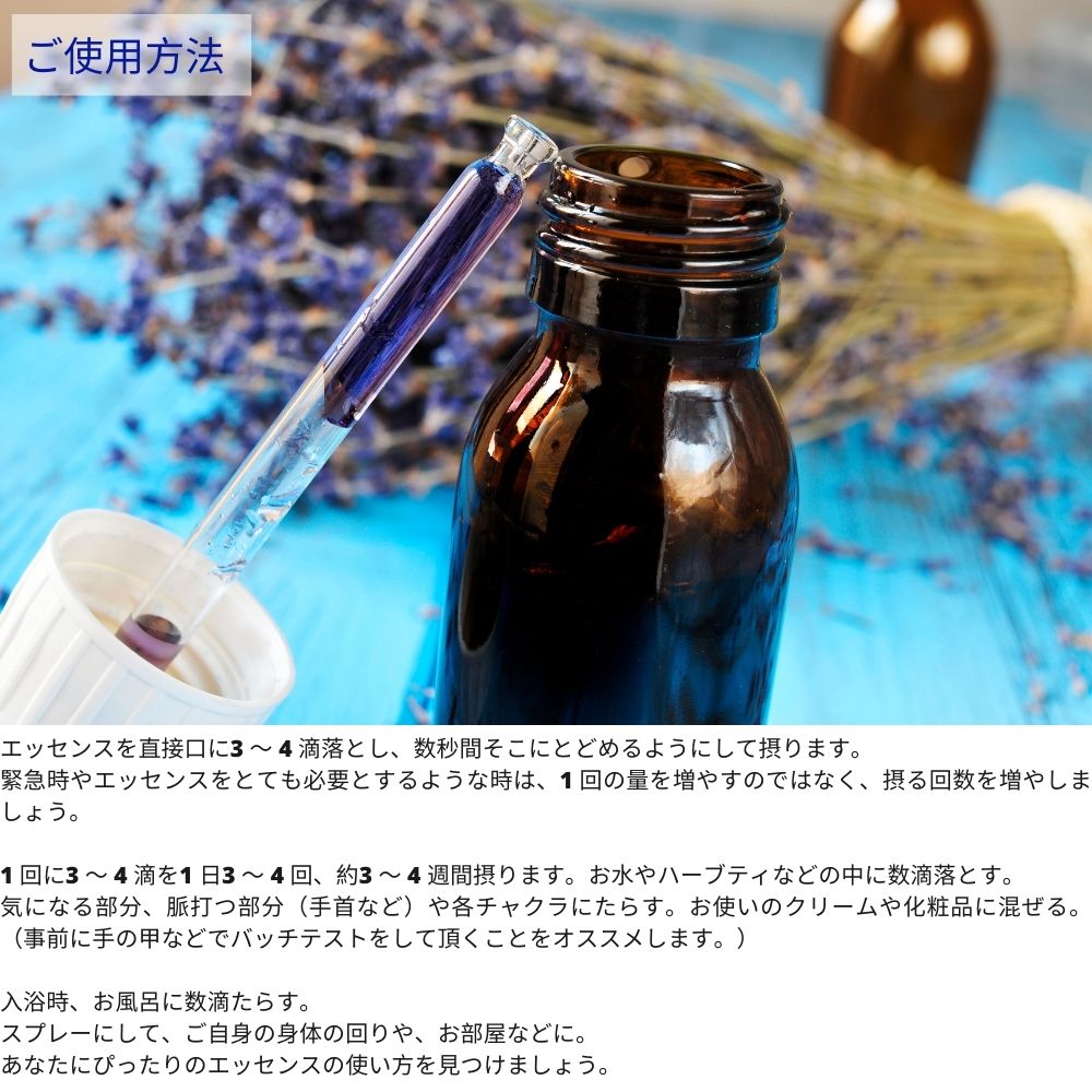 ラブラドールティー アラスカンエッセンス フラワーエッセンス