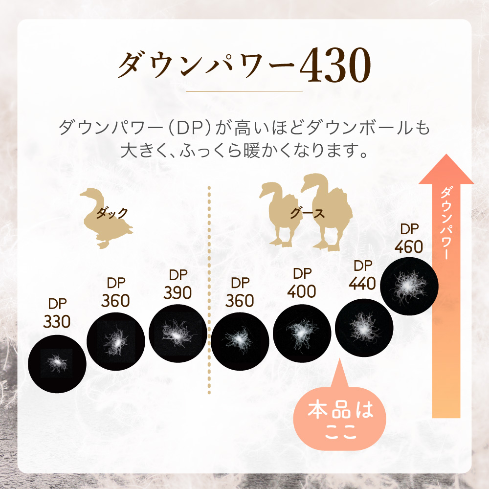 ロマンス小杉 羽毛布団 マザーグース 綿生地 ダウン93% 1.2kg