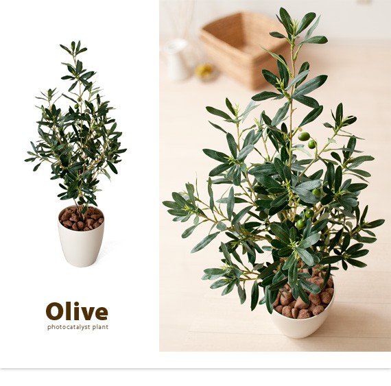 観葉植物 フェイクグリーン 光触媒 オリーブ 90cm 人工観葉植物 造花
