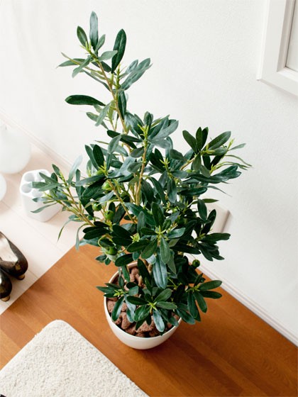 観葉植物 フェイクグリーン 光触媒 オリーブ 90cm 人工観葉植物 造花