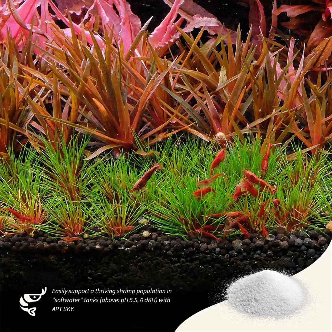 THE 2HR AQUARIST シュリンプ水草水槽に GH上昇剤 APT SKY 150g