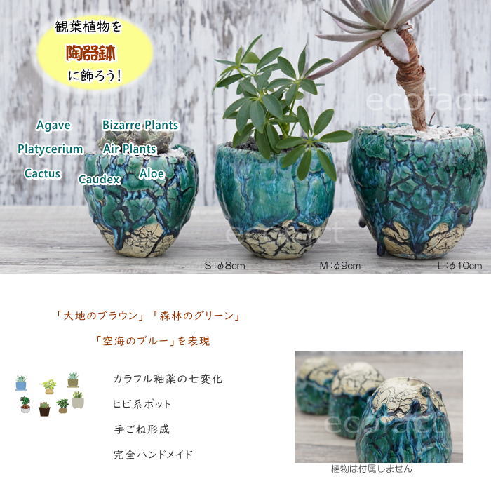 陶器鉢 植木鉢 底穴ありフォレスト（緑）白黒S φ8cm 日本製 園芸鉢
