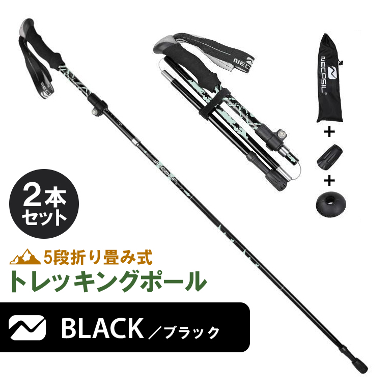 MSR TWING トレッキングポール2本付き MSR TWING トレッキングポール2
