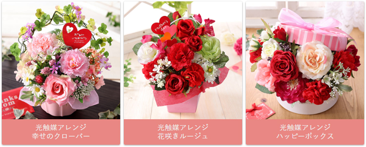 BunBunBee 早割実施中！ 母の日 2026 ギフト 花 プレゼント 光触媒