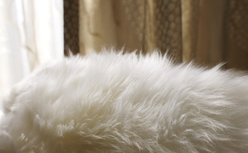 新品 在庫限り BOWRON ボーロン GOLD STAR ムートンラグ 5匹 ホワイト