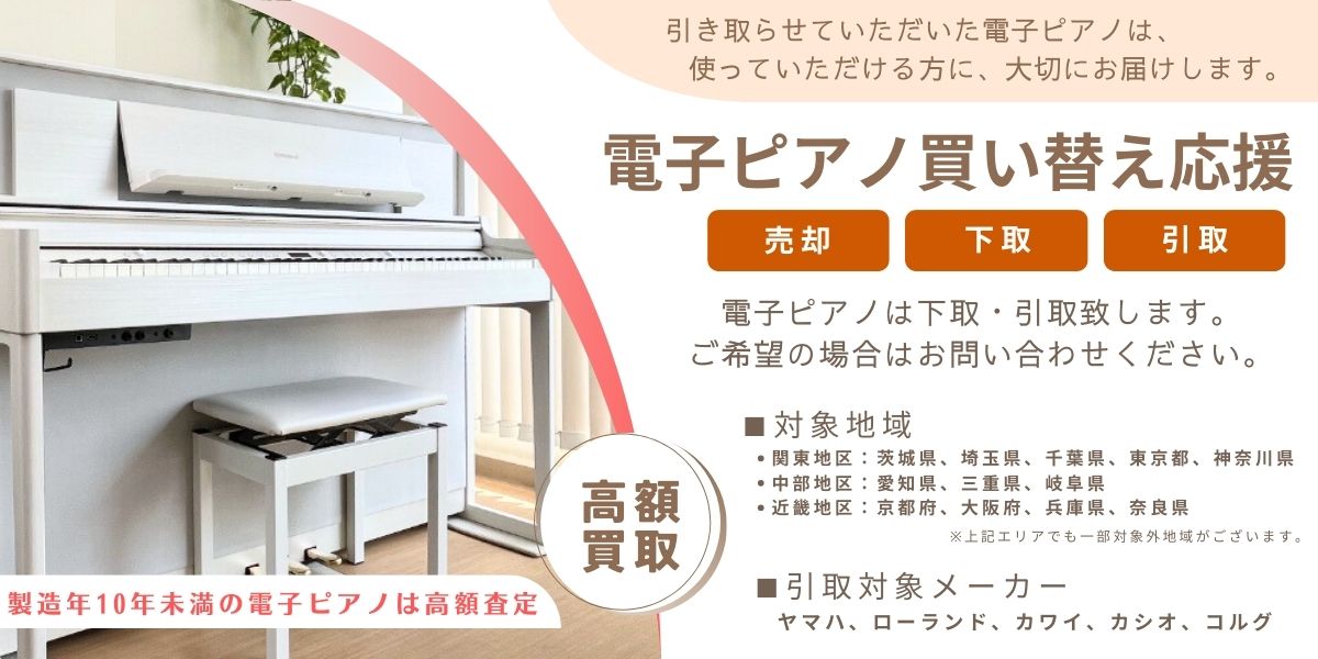 ローランド（Roland） DP603 NBS / roland 電子ピアノ 新色ナチュラル