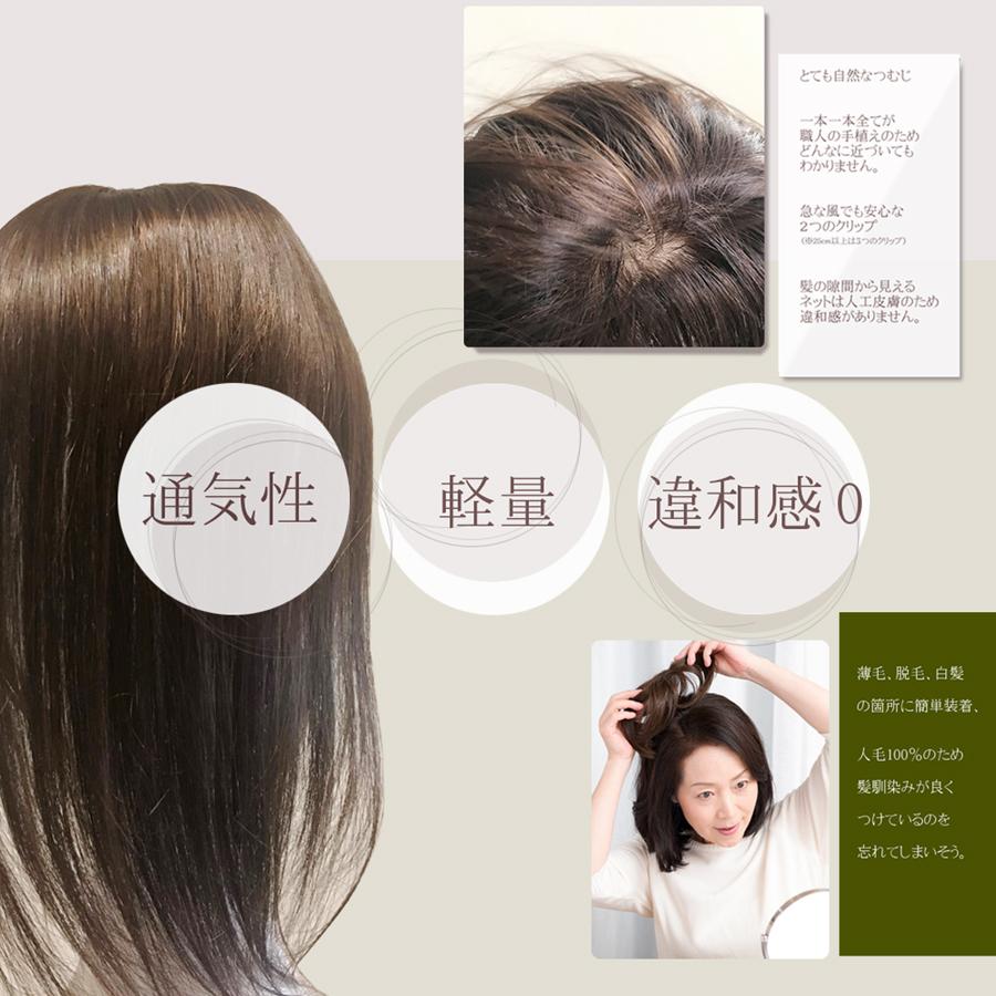 部分ウィッグ 自然 人毛100% 日本仕上げ ウィッグ ウイッグ 高品質