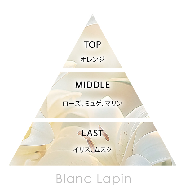 BELLE BAI（ベルバイ） 〔次回入荷未定〕ベルバイ ベルナンバー7