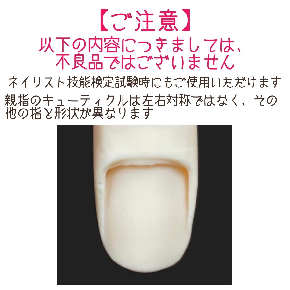 滝川（TAKIGAWA） JNEC認定ハンド STモデルハンド 左手 ネイルチップ