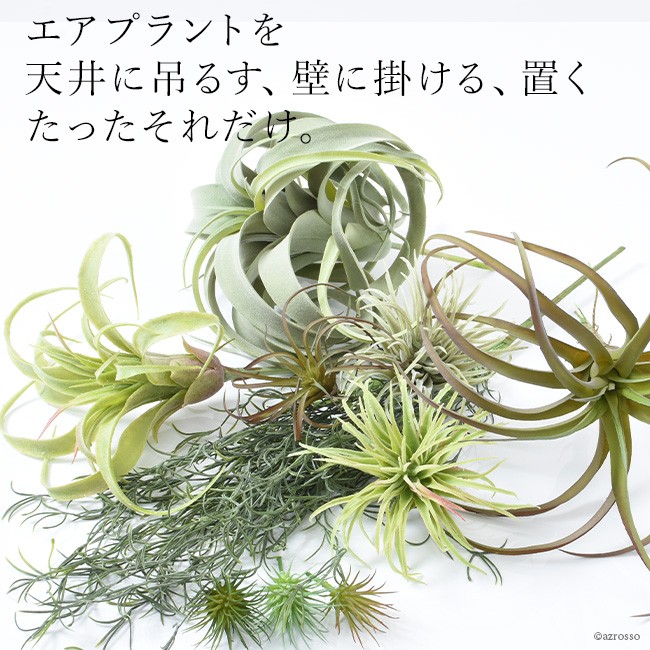 エアプランツ ティランジア アソート 10個 セット 造花 フェイク