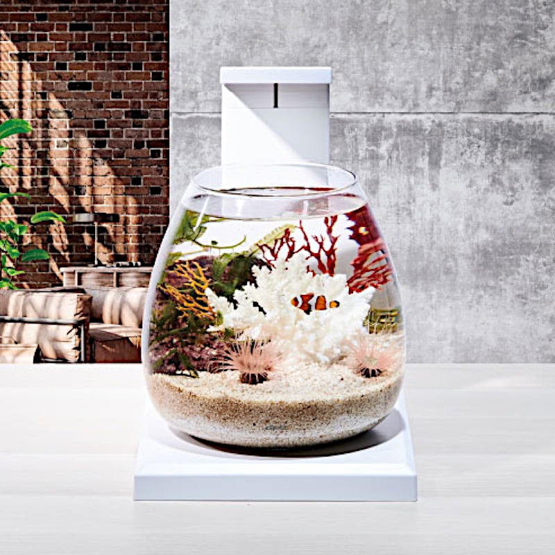 GEX（ジェックス） 観賞魚飼育水槽セット 水槽セット グラスアクア