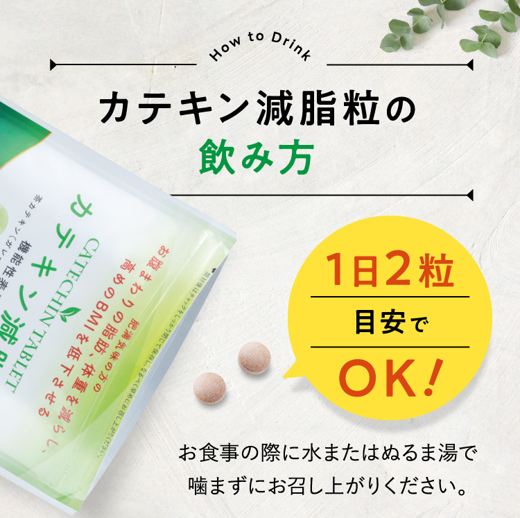 DMJえがお生活 カテキン減脂粒 10袋セット 15%OFF DMJえがお生活 31日