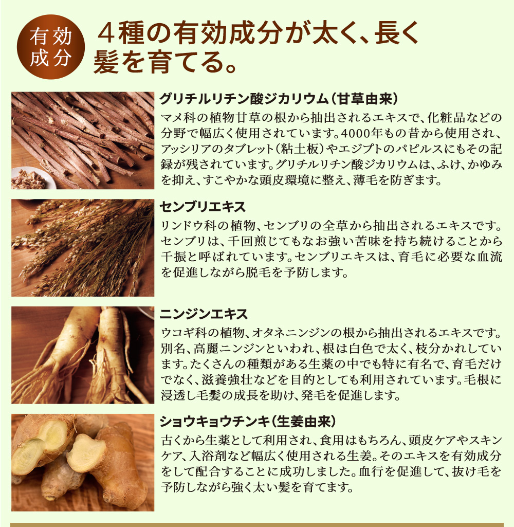 薬用育毛剤 柑気楼プレミスター 150mL 3本セット かんきろう 育毛 発毛