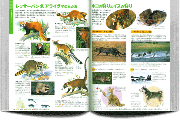 小学館の図鑑NEO セット 1-20 動物-野菜と果物まで20冊 小学館の図鑑
