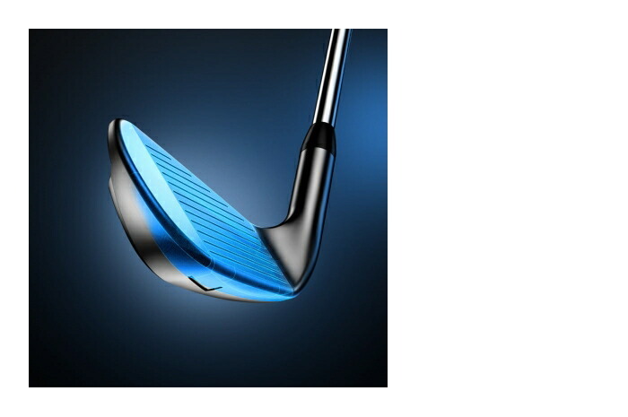 Titleist（タイトリスト） T100 S 2021 単品アイアン(#5、W(48)) N.S.