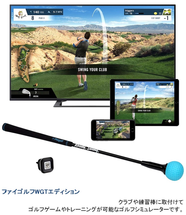 ファイゴルフ WGT Edition シュミレーター ゴルフ練習機 本体＋