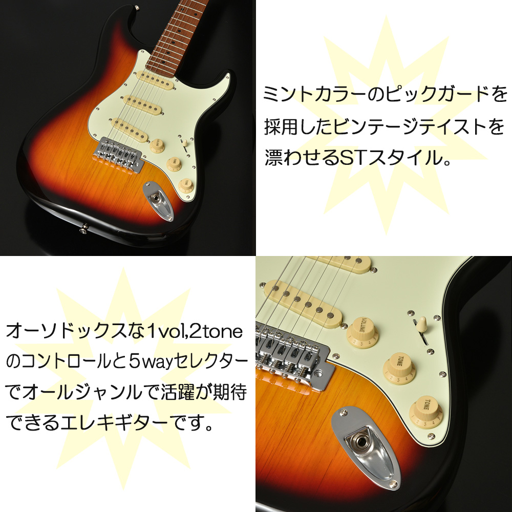 極美品 Bacchus BST-1R Tex-Mexピックアップ 極美品 Bacchus BST-1R