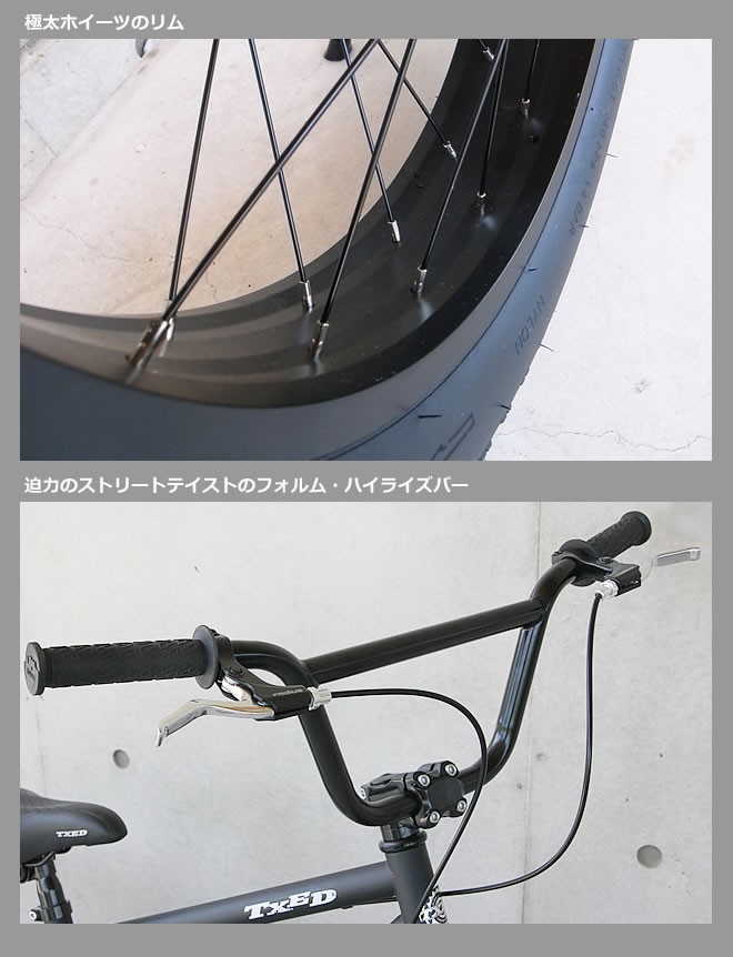 送料無料】ファットバイク ビーチクルーザー 自転車 20インチ FATBIKE