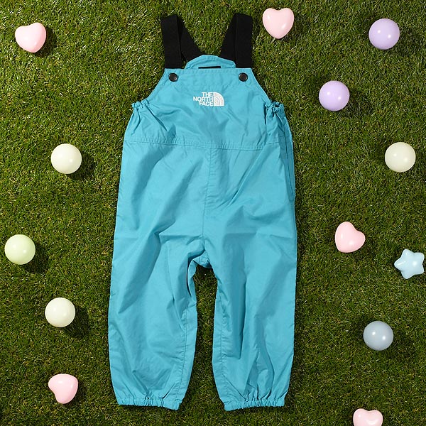 THE NORTH FACE（ザ ノースフェイス） ネコポス発送！送料無料 2026春