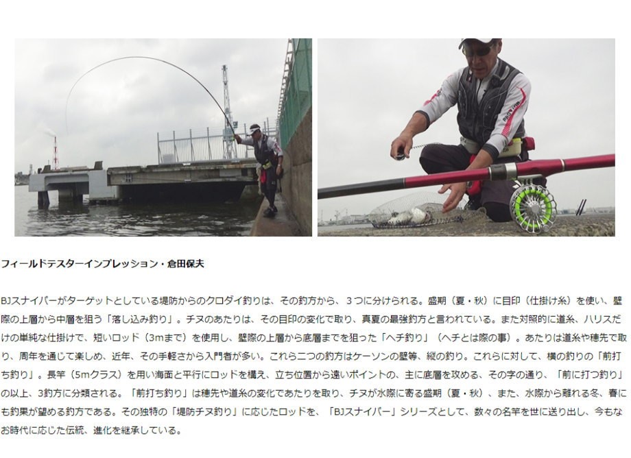 DAIWA（ダイワ） ブラックジャック スナイパー落とし込み H-40UM・R