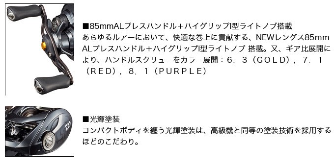 DAIWA（ダイワ） 【目玉商品】ダイワ 20 タトゥーラ SV TW 103HL (左