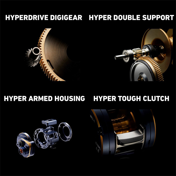 DAIWA（ダイワ） 21 ソルティガ IC 300H-SJ (右ハンドル) 2021年モデル