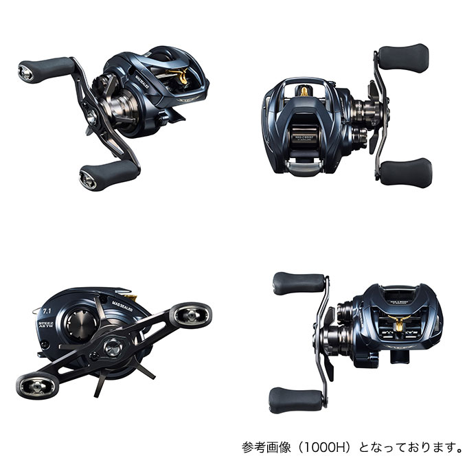DAIWA（ダイワ） STEEZ (スティーズ) A II TW 1000XH (右ハンドル