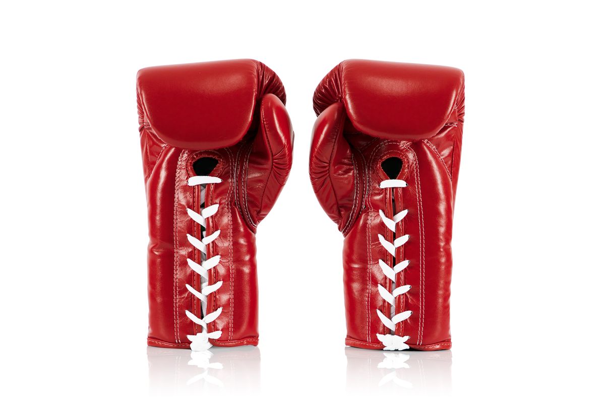 フェアテックス Fairtex 試合用 ボクシンググローブ BGL6 本革 ひも式