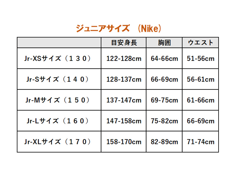 NIKE（ナイキ） フランス代表 ユニフォーム ホーム 24/25 エムバペ