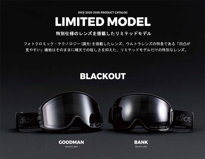 DICE（ダイス） 25-26 ゴーグル DICE GOODMAN LIMITED MODEL