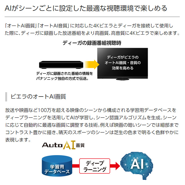 DIGA ブルーレイレコーダー 2番組同時録画 パナソニック Panasonic 1TB