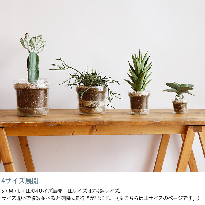 ポット 植木鉢 ガラス 7号鉢 おしゃれ shesay シセイ リューズガラス