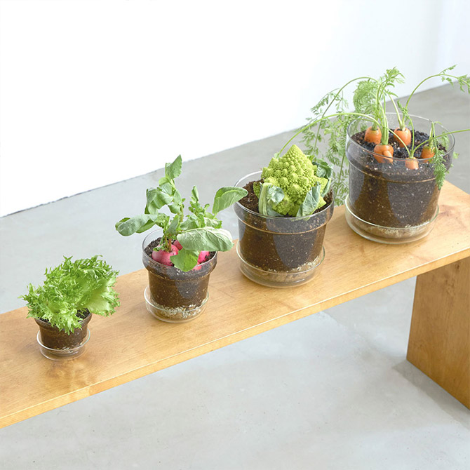 ポット 植木鉢 ガラス 7号鉢 おしゃれ shesay シセイ リューズガラス