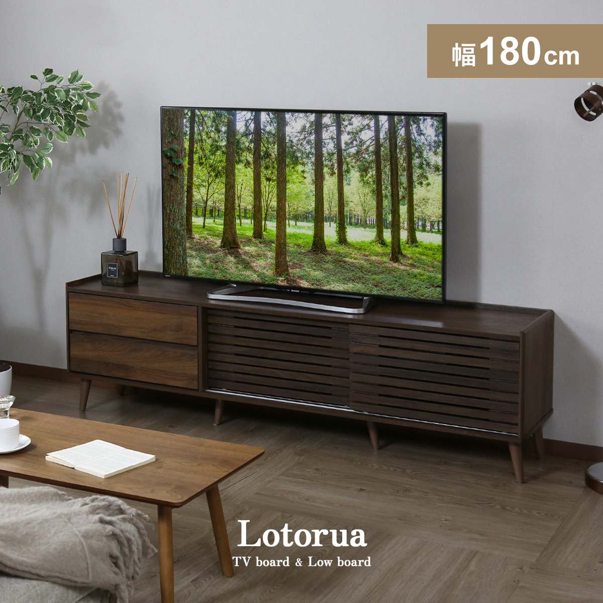 DORIS（ドリス） テレビ台 一人暮らし テレビボード 収納 ローボード