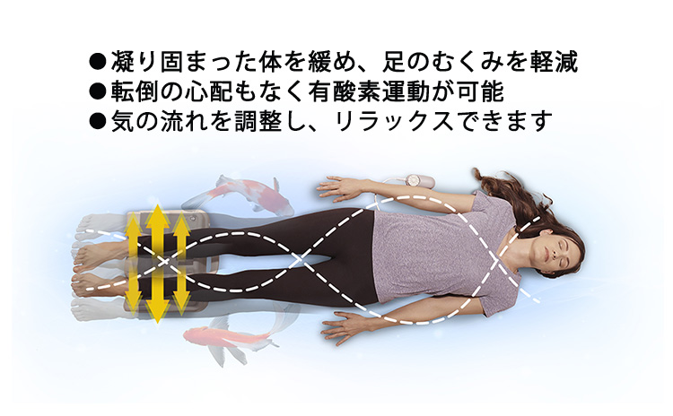 金魚運動マシーン バイタリティー・スイング Daiwa Felicity