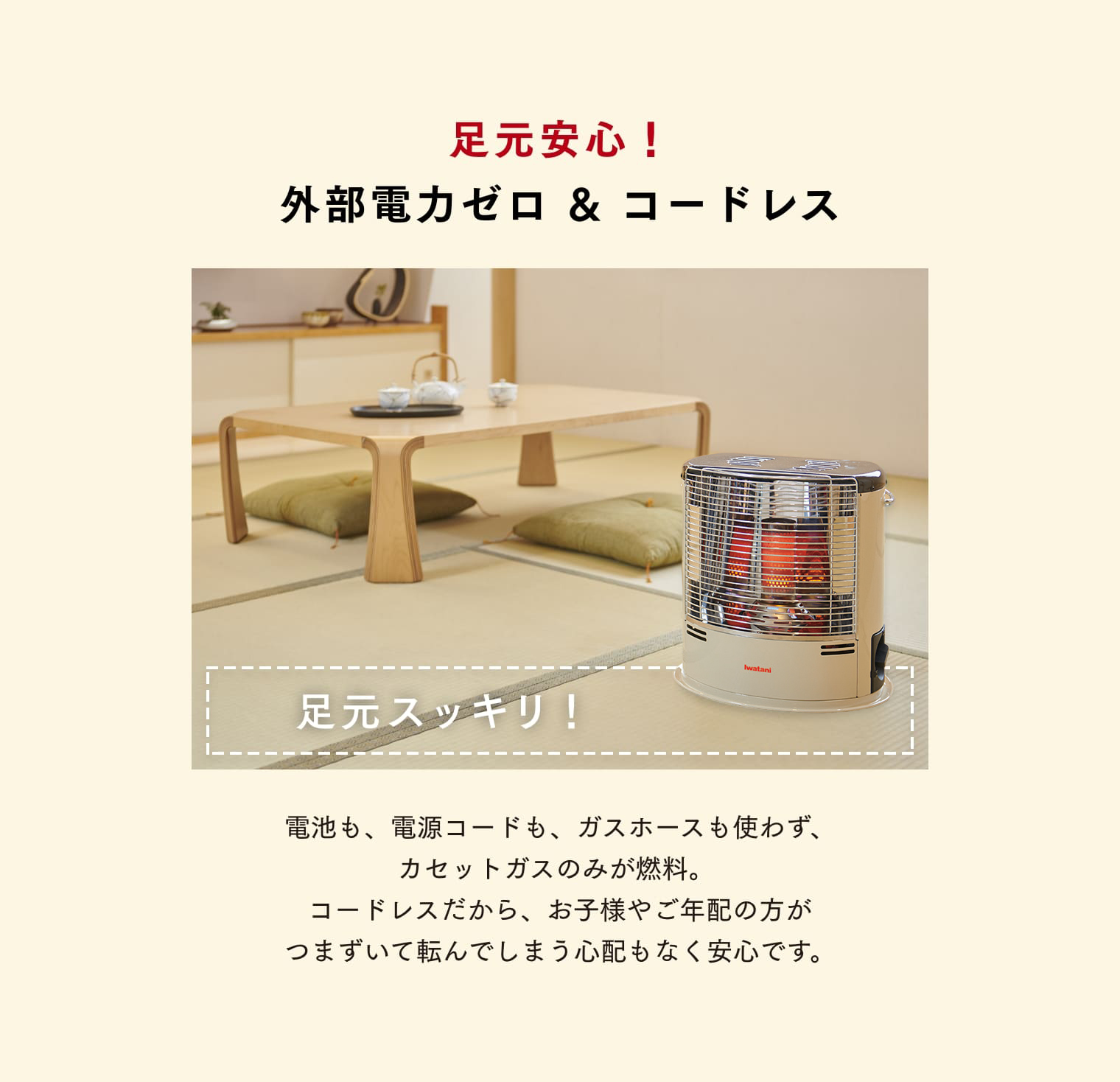 Iwatani（イワタニ） 【公式】Iwatani 岩谷 カセットガスストーブ デカ