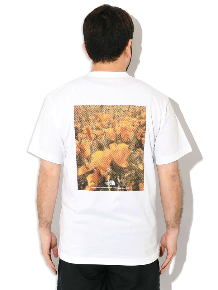 THE NORTH FACE（ザ ノースフェイス） Tシャツ 半袖 メンズ フラッシュ