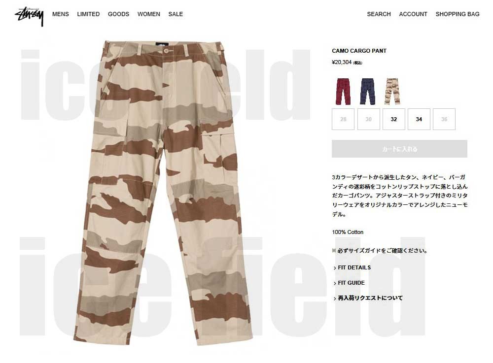 STUSSY（ステューシー） パンツ メンズ Camo Cargo(stussy pant カーゴ