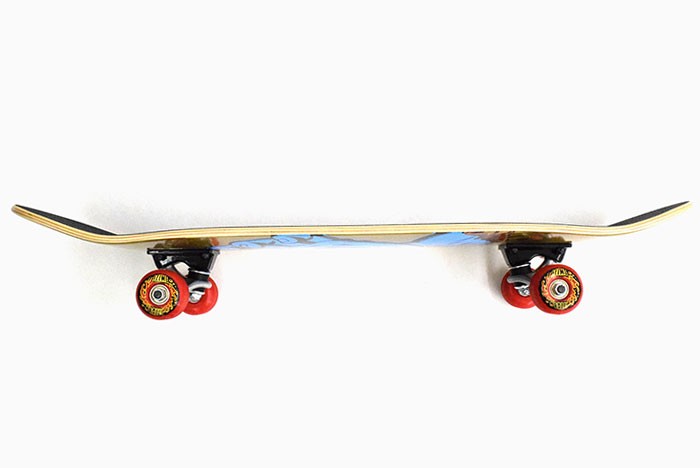 SANTA CRUZ（サンタクルーズ） スケボー スケートボード コンプリート