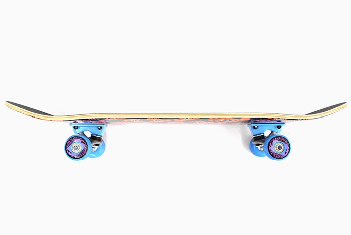 SANTA CRUZ（サンタクルーズ） スケボー スケートボード コンプリート