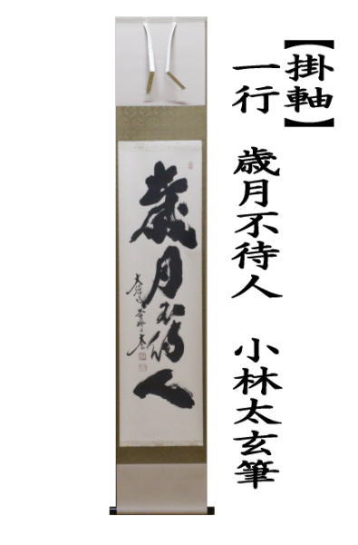 茶道具 掛軸 掛け軸 一行 歳月不待人 小林太玄筆 茶道 : 茶道具いまや