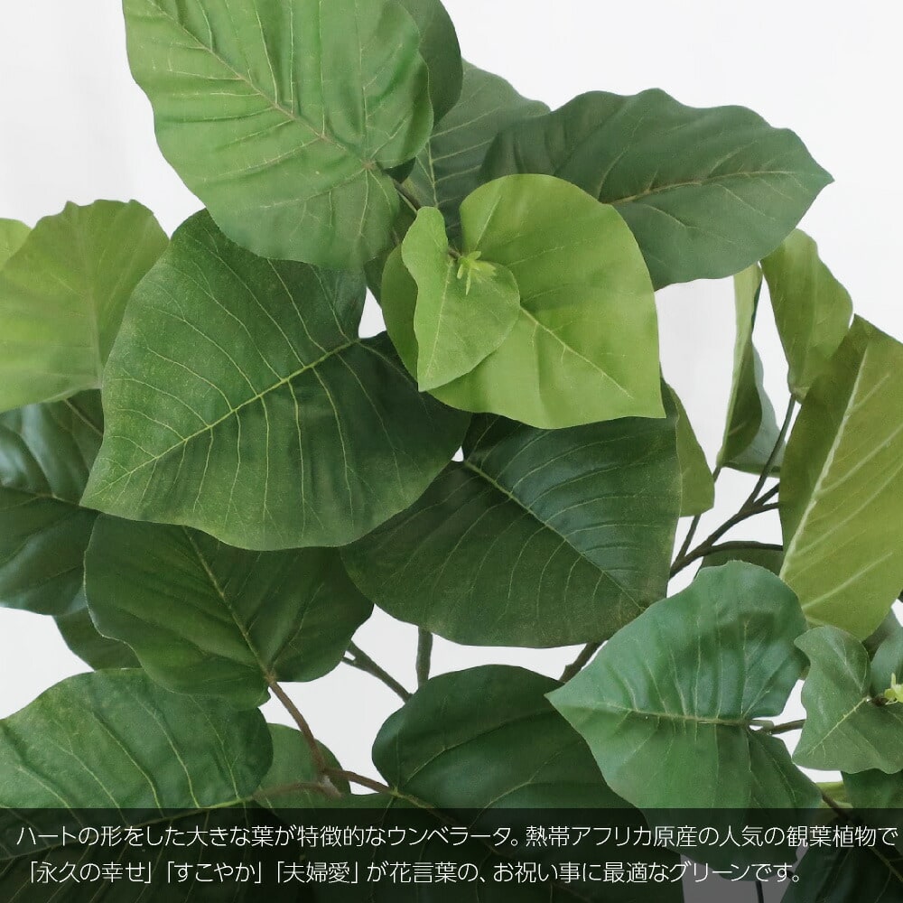 神戸花物語 フェイクグリーン 観葉植物 人工観葉 大型 光触媒 フィカス